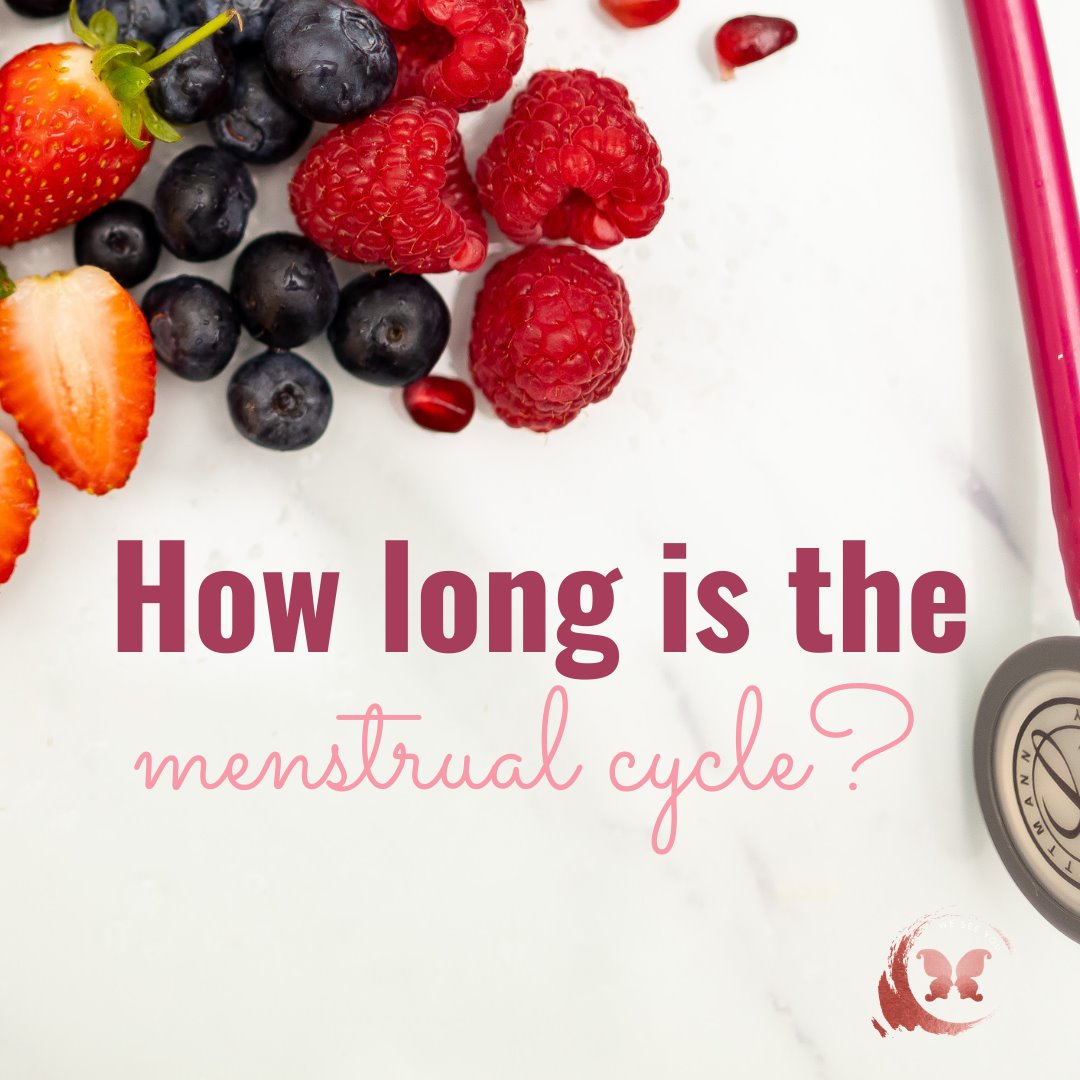 How long is the menstrual cycle?